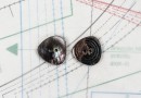 bouton en nacre