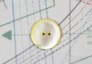bouton en nacre