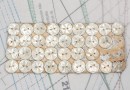 bouton en nacre, 1 plaque 32 boutons
