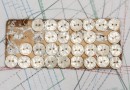 bouton en nacre, 1 plaque 29 boutons