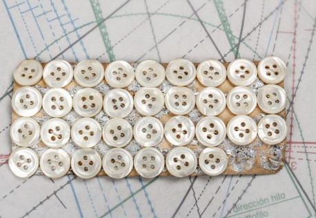 bouton en nacre, 3 plaques 34 boutons