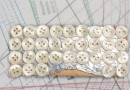 bouton en nacre, 1 plaque 32 boutons