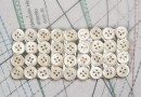 bouton en nacre, 40 plaques 36 boutons