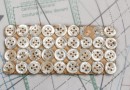 bouton en nacre, 1 plaque 34 boutons