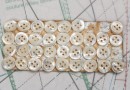 bouton en nacre, 1 plaque 33 boutons