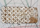 bouton en nacre, 2 plaques 31 boutons