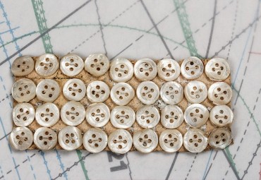 bouton en nacre, 1 plaque 35 boutons