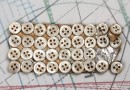 bouton en nacre, 1 plaque 34 boutons