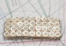 bouton en nacre, 3 lots de 4 plaques de 36 boutons