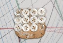 bouton en nacre, 1 plaque 11 boutons