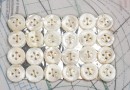 bouton en nacre, 1 plaque 24 boutons