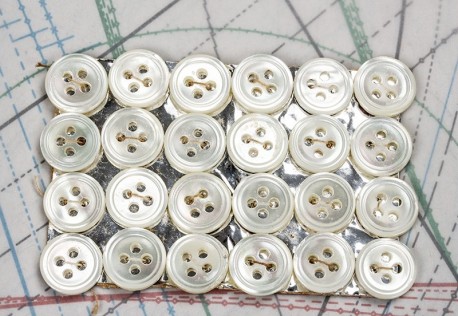 bouton en nacre, 5 plaques de 24 boutons