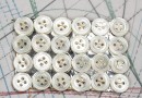 bouton en nacre, 5 plaques de 24 boutons
