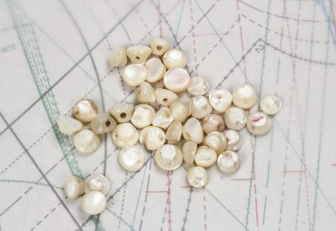 bouton en nacre, 1 lot 27 pièces