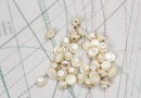 bouton en nacre, 1 lot 28 pièces