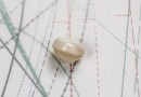 bouton en nacre