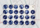 bouton en nacre, 1 plaque 23 boutons