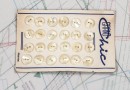 bouton en nacre, 1 plaque 24 boutons