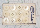 bouton en nacre, 1 plaque 12 boutons