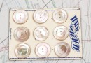 bouton en nacre, 4 plaques 9 boutons