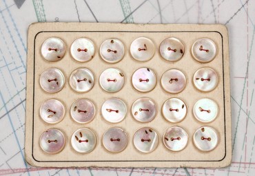 bouton en nacre, 1 plaque 24 boutons