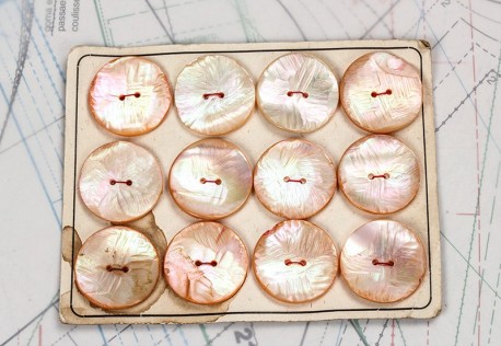 bouton en nacre, 1 plaque 12 boutons