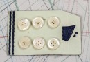 bouton en nacre, 1 plaque 6 boutons