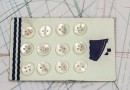bouton en nacre, 1 plaque 12 boutons