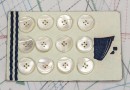 bouton en nacre, 1 plaque 12 boutons