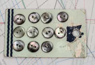 bouton en nacre, 1 plaque 11 boutons