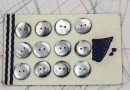 bouton en nacre, 1 plaque 12 boutons