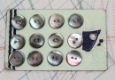 bouton en nacre, 1 plaque 12 boutons