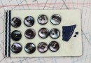 bouton en nacre, 1 plaque 12 boutons