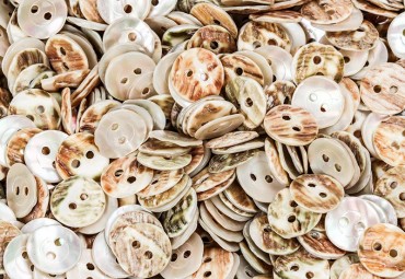 bouton en nacre, 1 lot 20 pièces