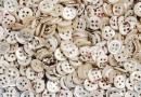 bouton en nacre, 1 lot 86 pièces
