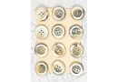 bouton en corne blanche blonde et marron, 4 trous, 1 plaque de 12 boutons