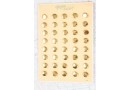 Bouton en métal doré brillant estampé boucle oméga 1 plaque de 40 boutons