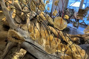 materiotek-mercerie_250329_Expo_Mireille_Tanner-14
