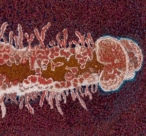 250705_Expo_Renate_Rabus_13