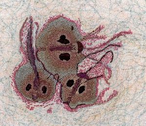 250705_Expo_Renate_Rabus_14